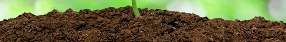 Composting At Home and County-wide